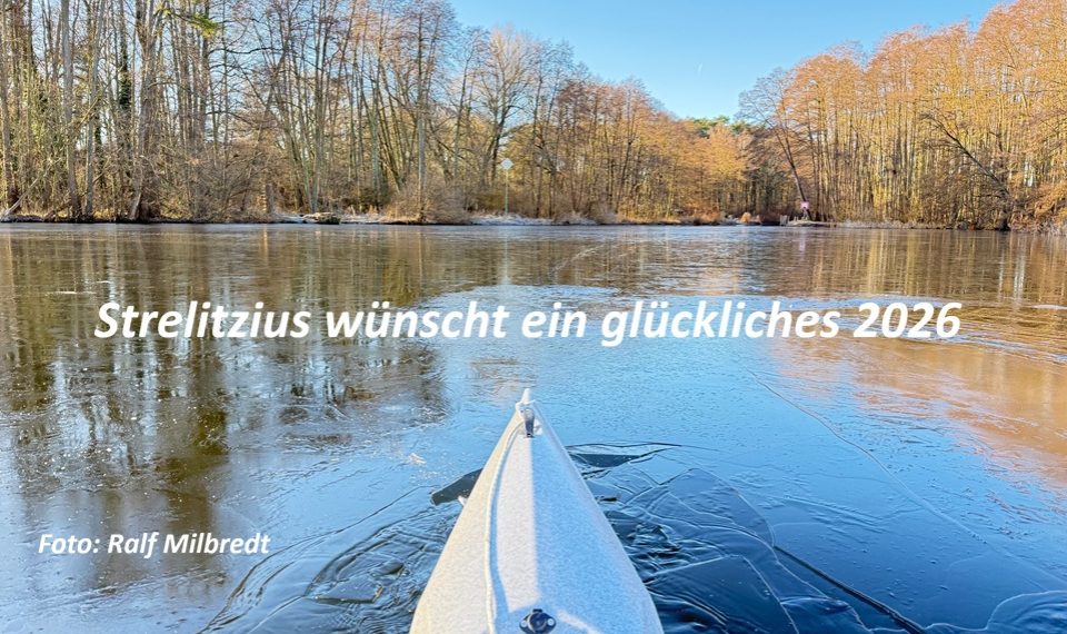 Strelitzius Blog